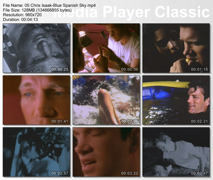 Is chris isaak gay